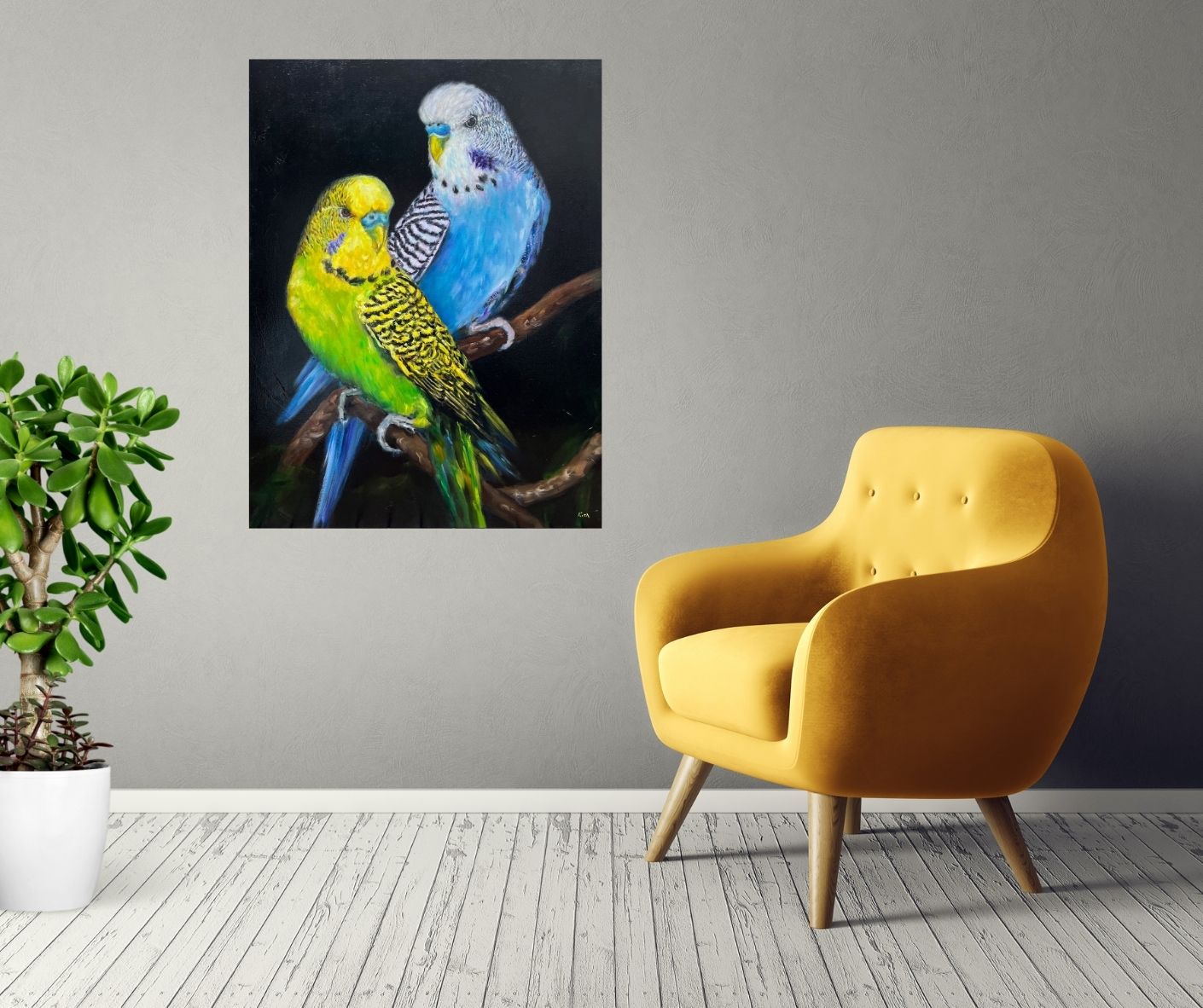 Budgie Brillance