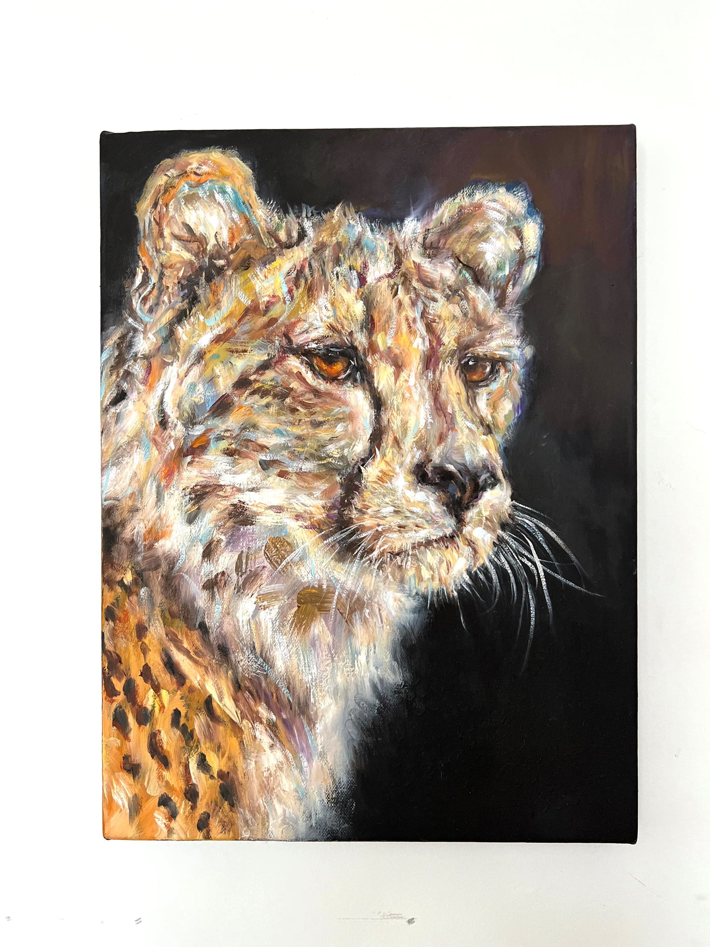 Untamed Gaze
